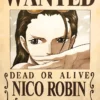 Nico Robin Wanted – One Piece | Anime | Metal Poster | Wall Art